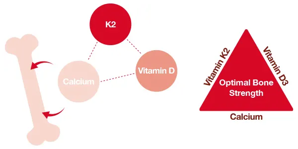 مکمل ویتامین D3 و K2 مای ویتامینز